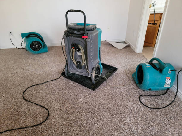 Best Water damage restoration process  in Athens, WV