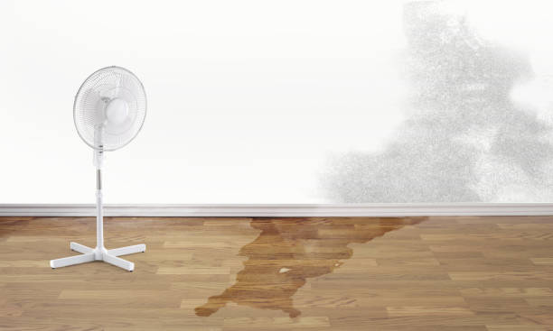  Athens, WV Water damage restoration Pros