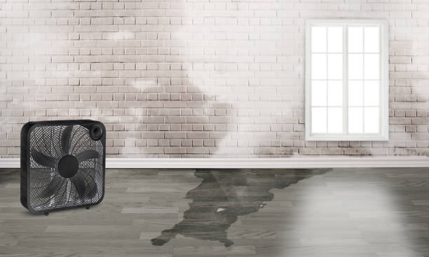 Best Residential water damage restoration  in Athens, WV