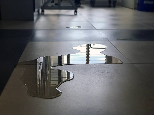 Best 24-hour water damage restoration  in Athens, WV
