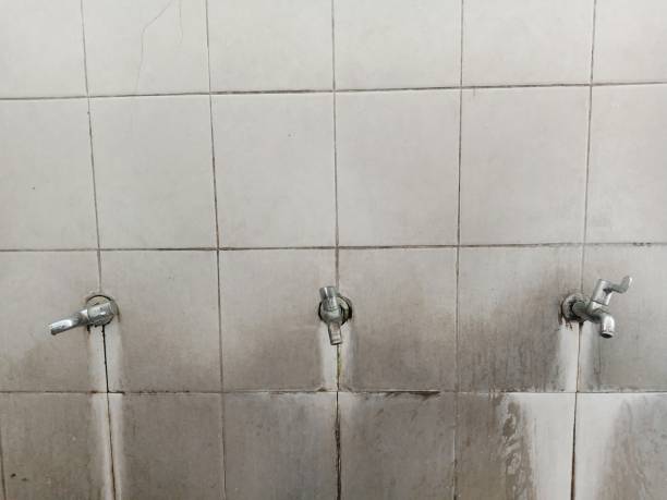 Best Water damage restoration cost  in Athens, WV