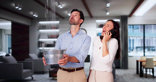 Best Water damage restoration experts  in Athens, WV